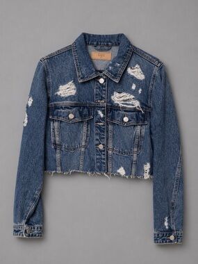BLANK NYC cropped distressed  Jean jacket